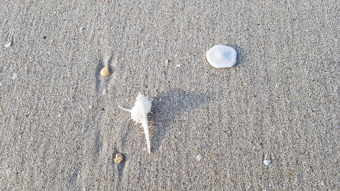 Seaside fun at Bintan Spa Resort – Mutiara Beach Resort